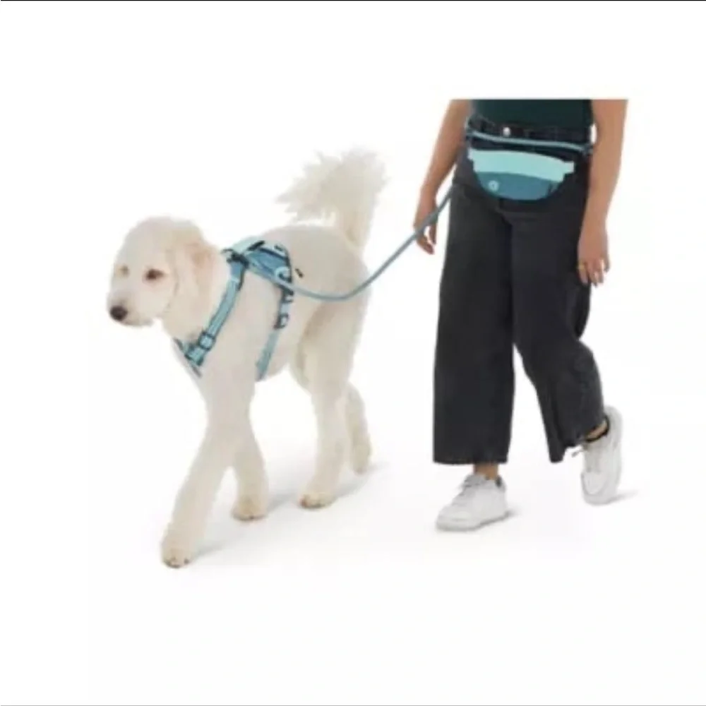 Top Paw Multi Wear Leash, Reversible Comfort Harness & Neoprene Collar - SMALL - Picture 2 of 13